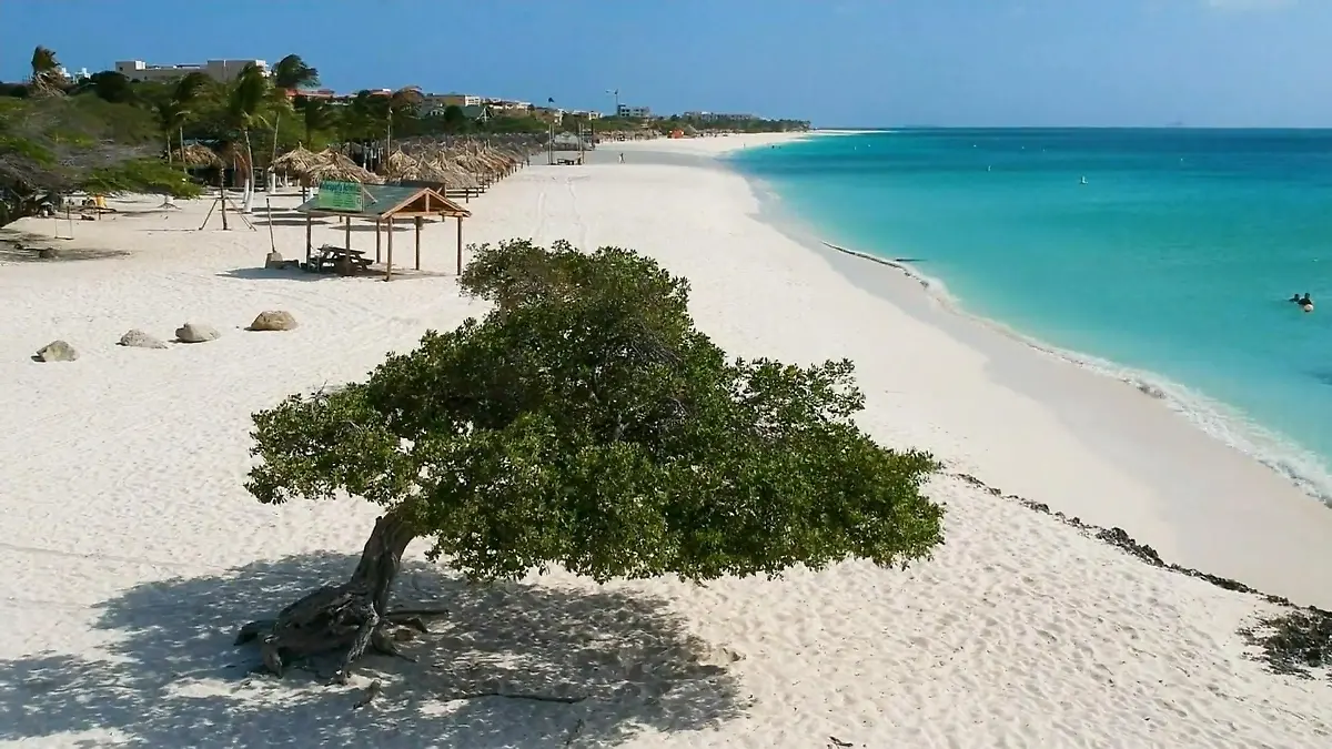 Familie Manco möchte nach Aruba auswandern Auswanderertraum