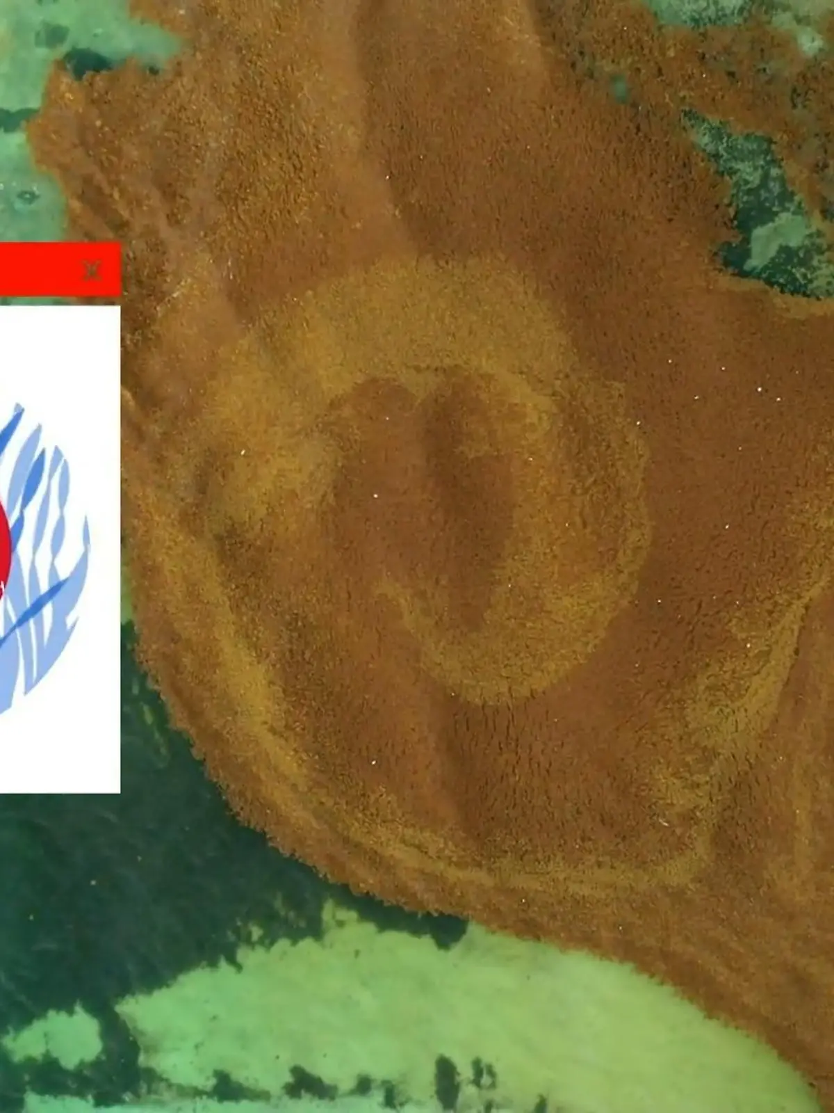 Bild zu: "Braune Brühe statt weißer Sand"
