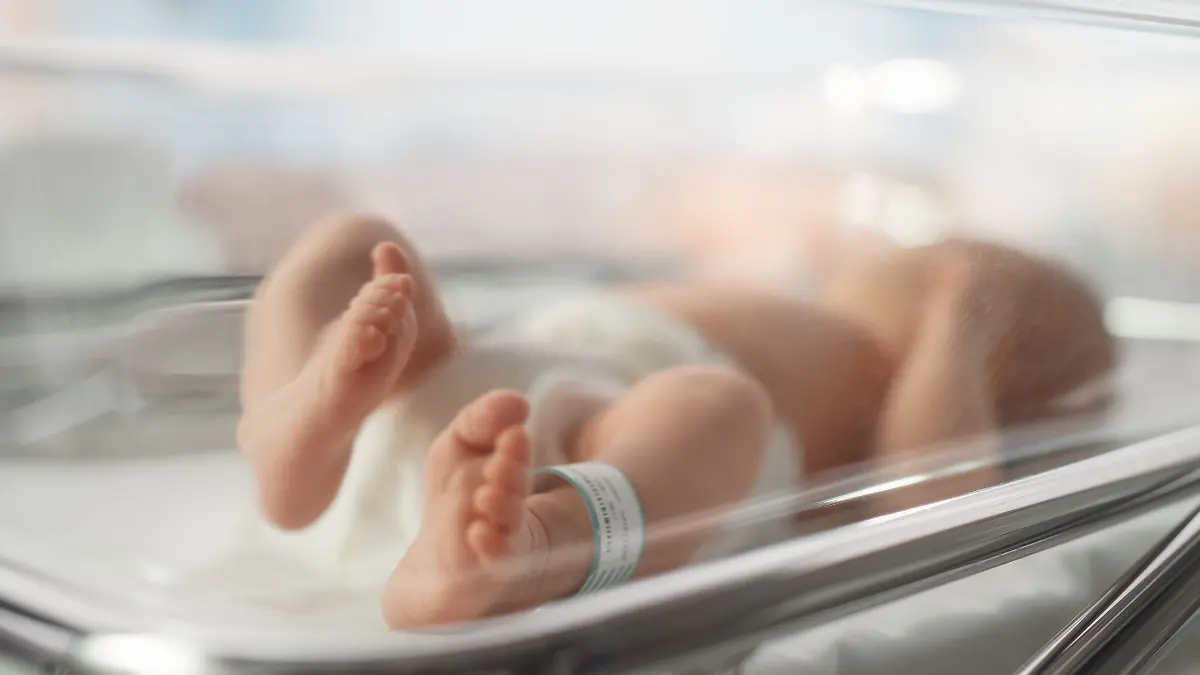 iStock-1489423262.jpg