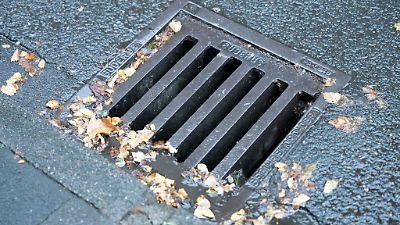 Wiepenkathen (Landkreis Stade): Kater Timy nach zwei Wochen aus Kanalisation gerettet