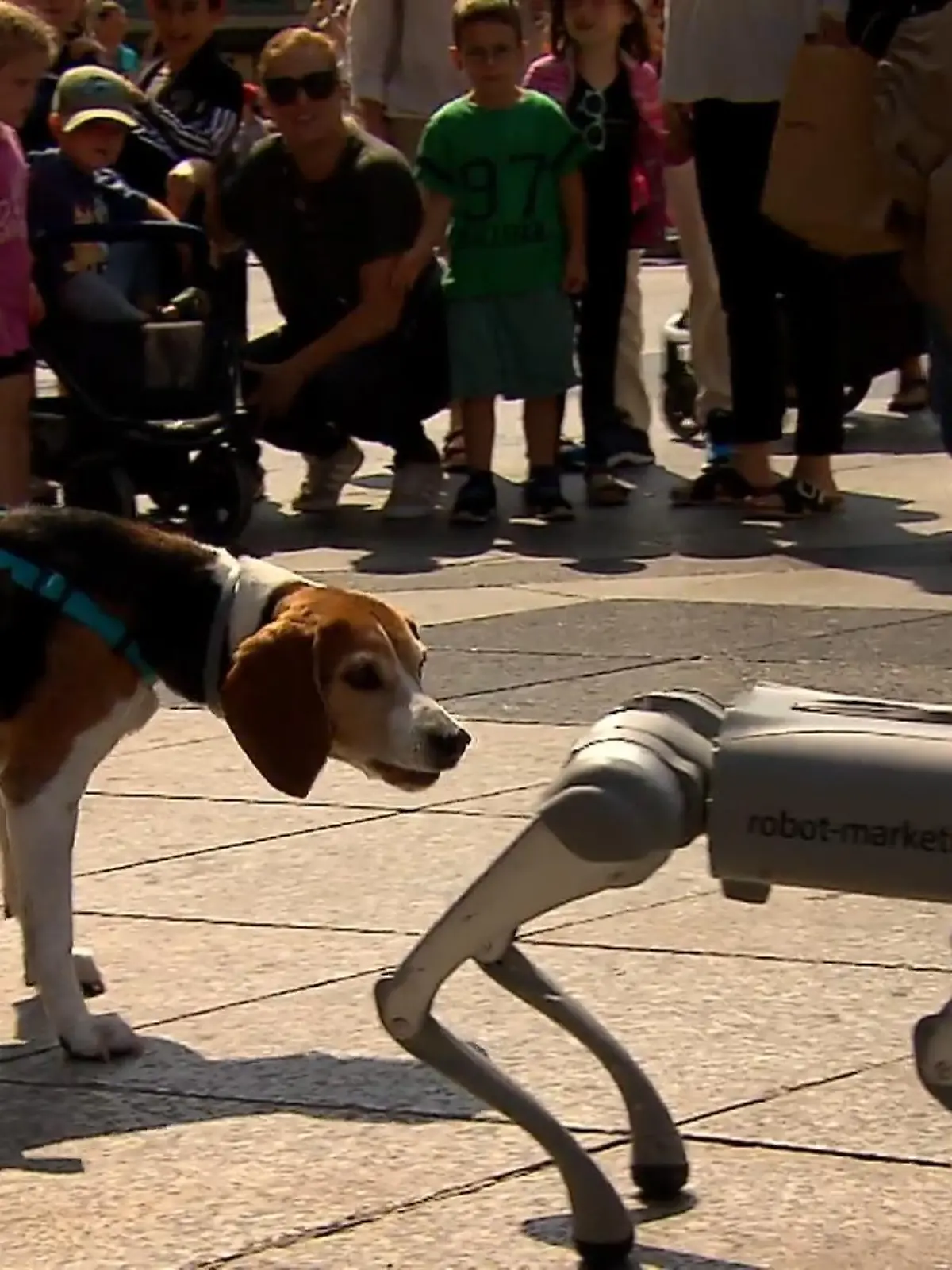 Bild zu: "Warum ein Mann zwei Roboterhunde besitzt – und damit sogar Geld verdient"