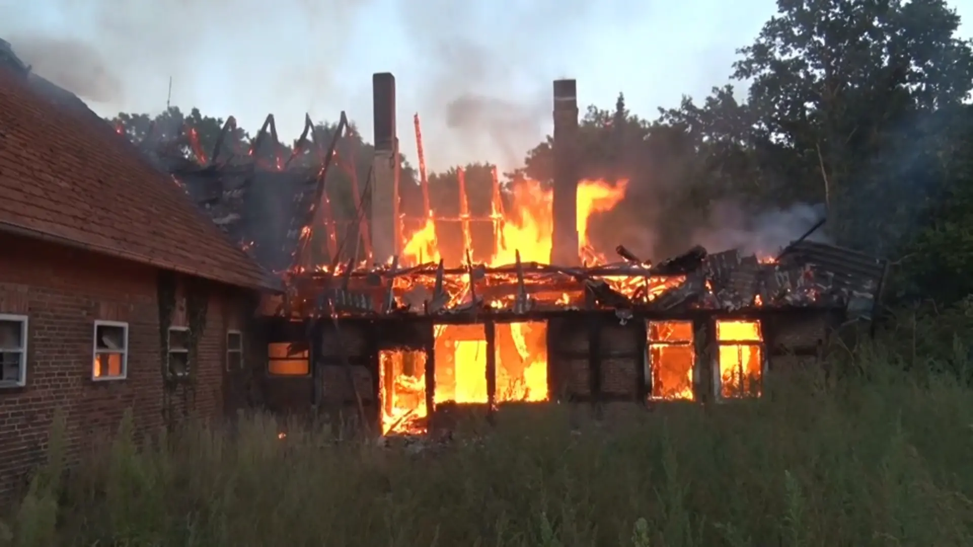 Brand Bippen.png