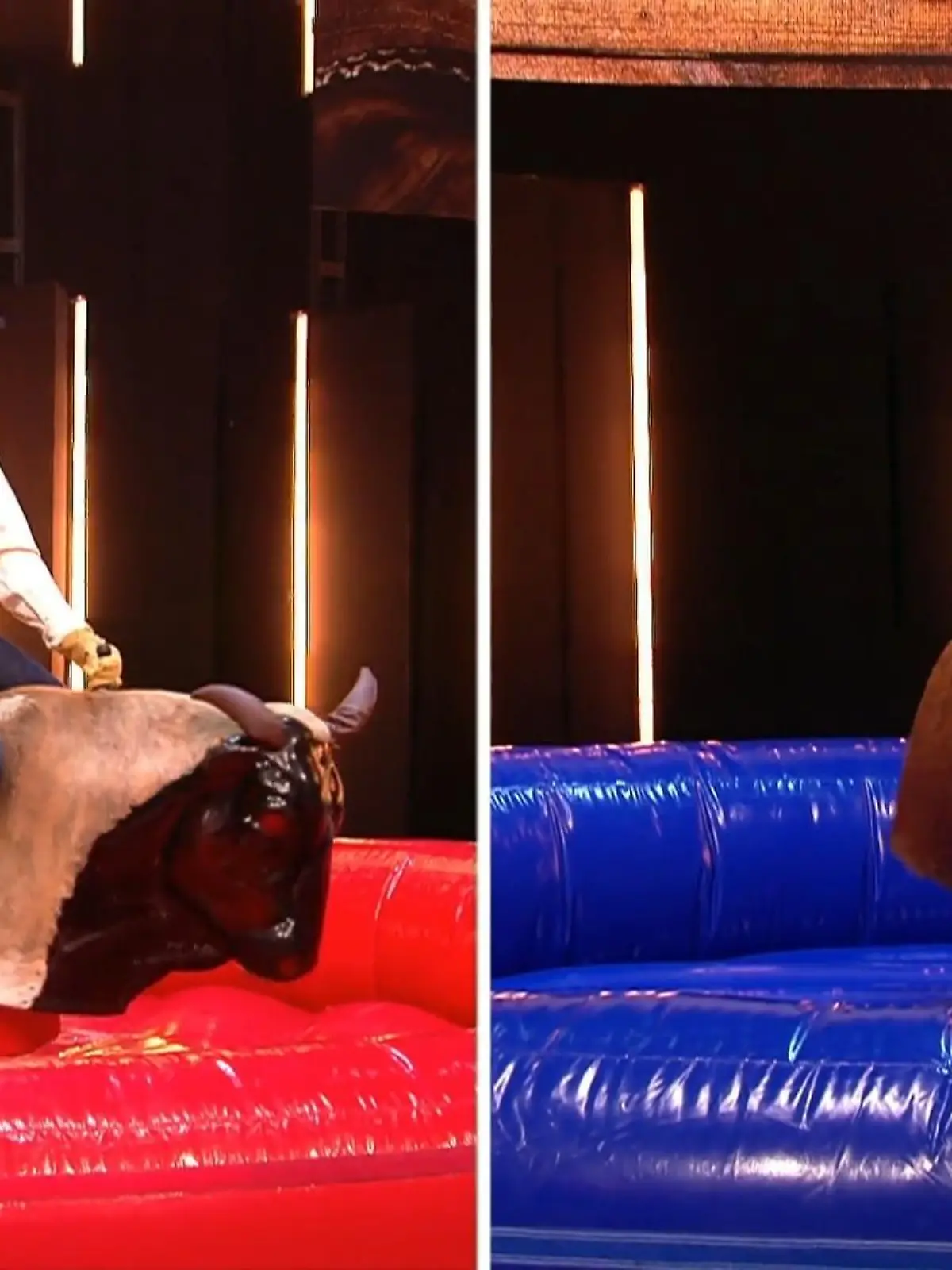 Bild zu: "Stefan Raab und Michael „Bully“ Herbig beim wilden Bullen-Battle"