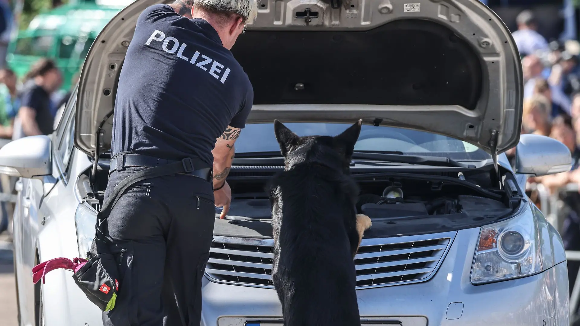 Der dreijährige Schäferhund war am frühen Morgen entlaufen. (Symbolbild)