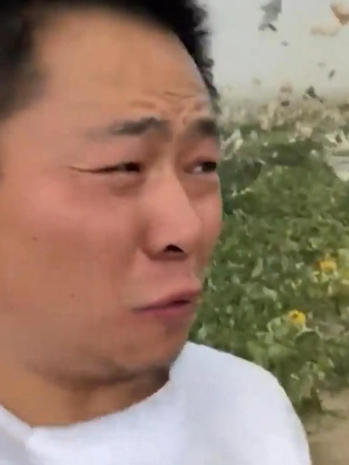 Bild zu: "Landwirt streamt vom Feld – plötzlich bricht das Sturm-Chaos aus!"