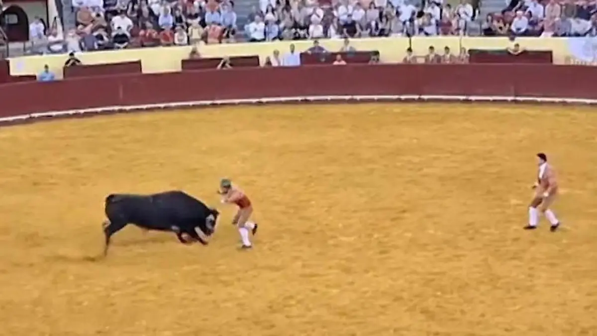 Junger Torero (22) kommt bei Stierkampf ums Leben Todesdrama in der Arena