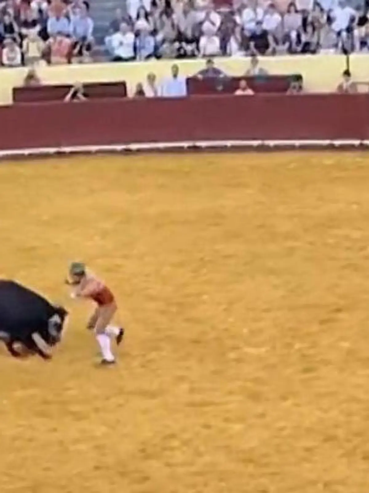 Bild zu: "Todesdrama in Stierkampf-Arena! Torero (22) verliert bei Show sein Leben"