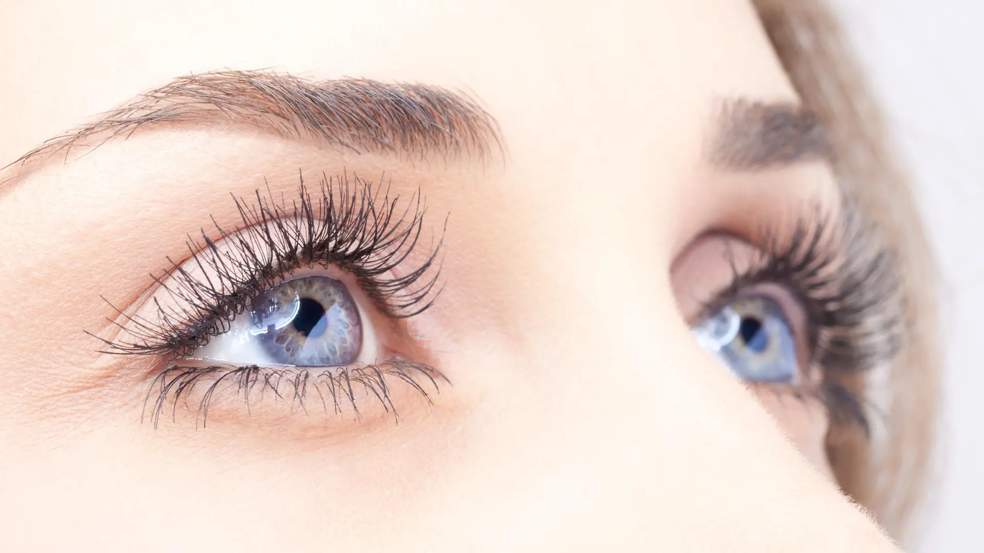 Closeup shot of woman eye with day makeup