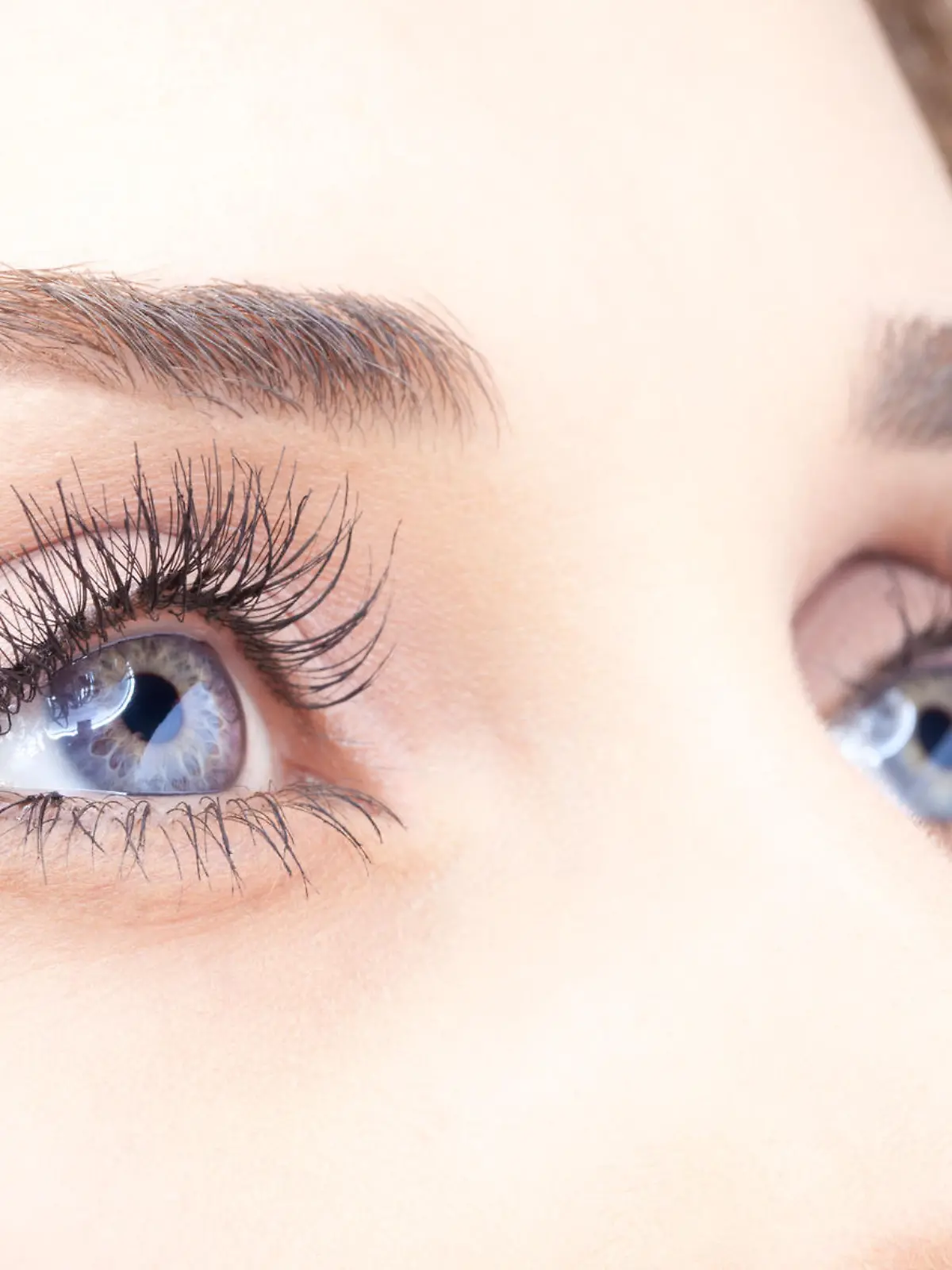 Closeup shot of woman eye with day makeup