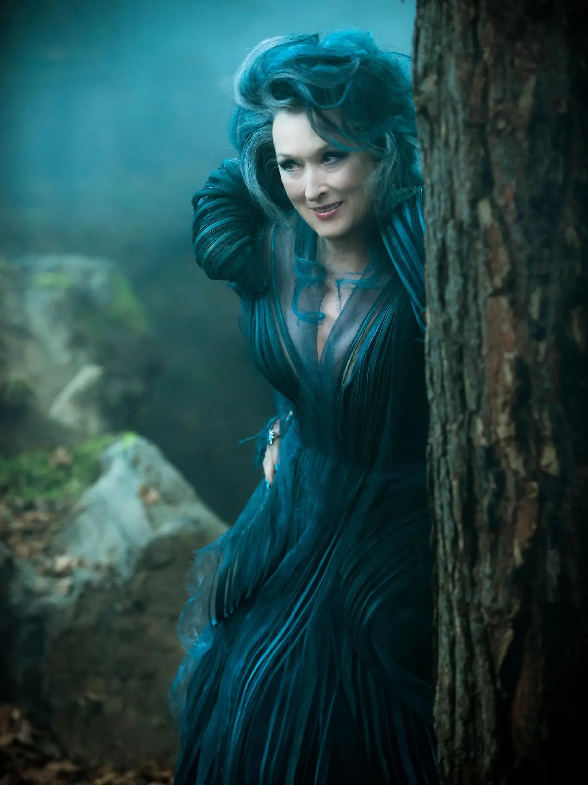 INTO THE WOODS - Meryl Streep (Die Hexe)