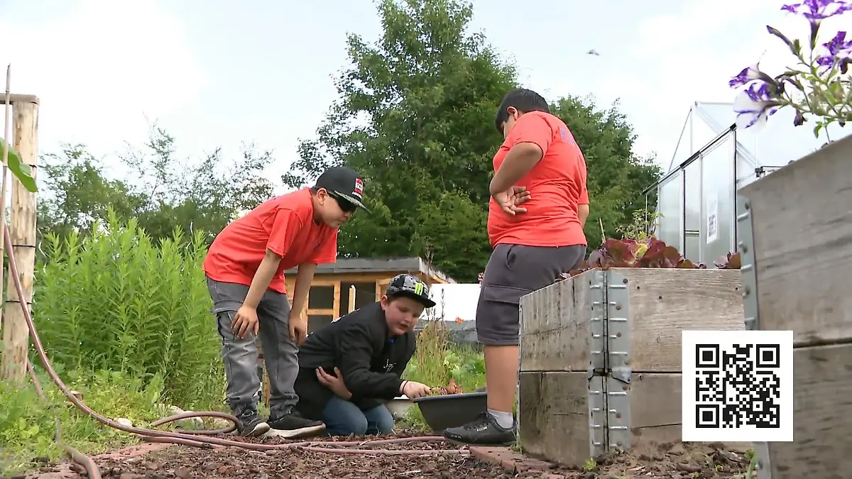 Spaß und Lernen beim Gartenprojekt im RTL-Kinderhaus Gifhorn Update: "Die gute Minute"