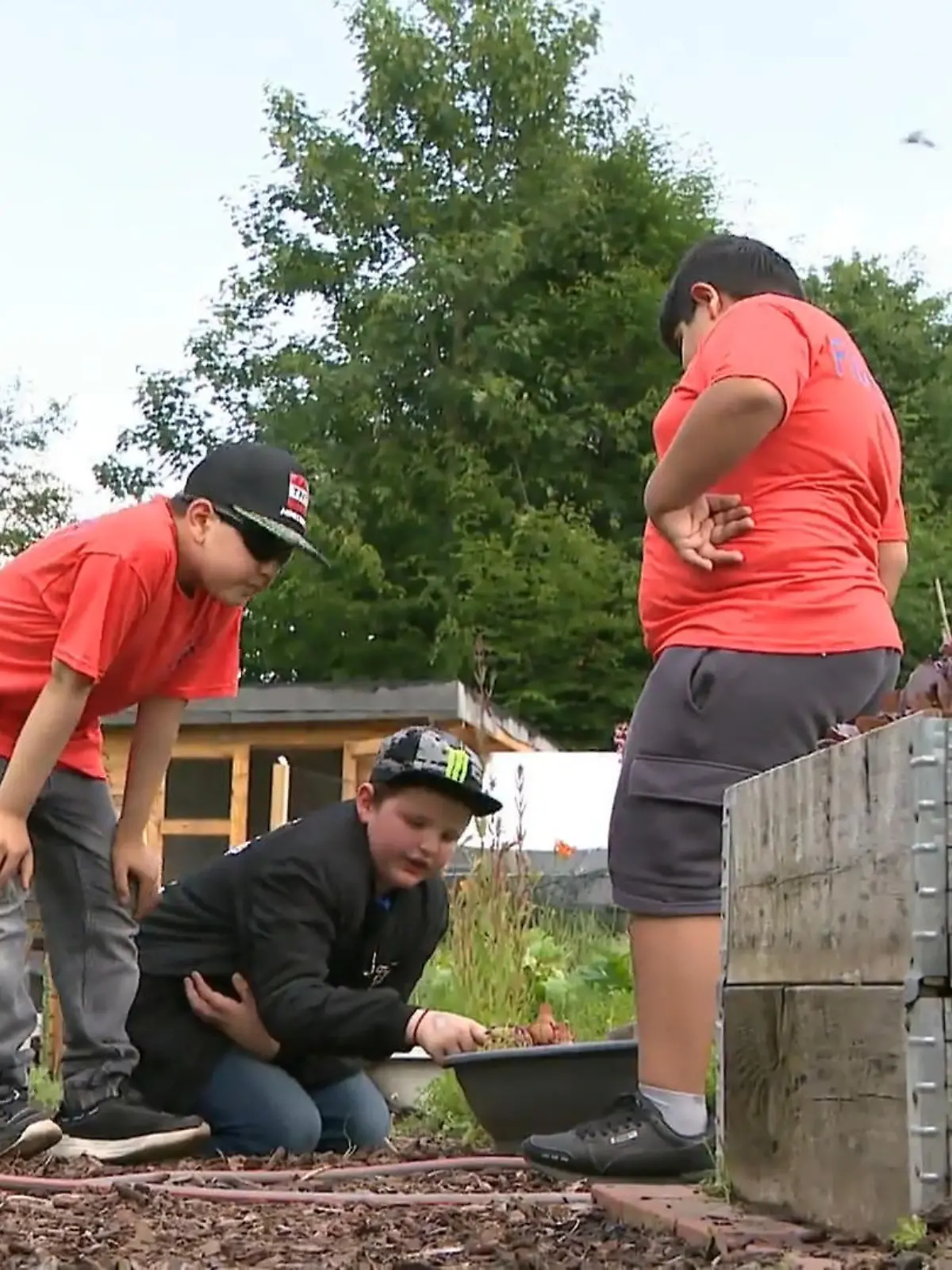 Bild zu: "Spaß und Lernen beim Gartenprojekt im RTL-Kinderhaus Gifhorn"