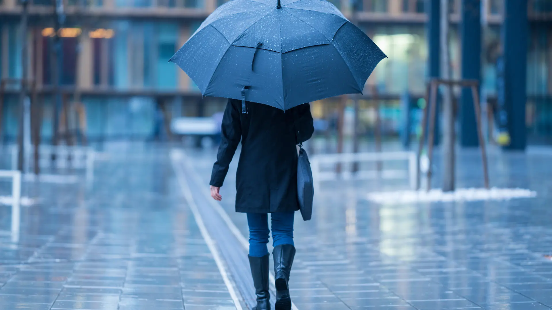 iStock-1273812229.jpg