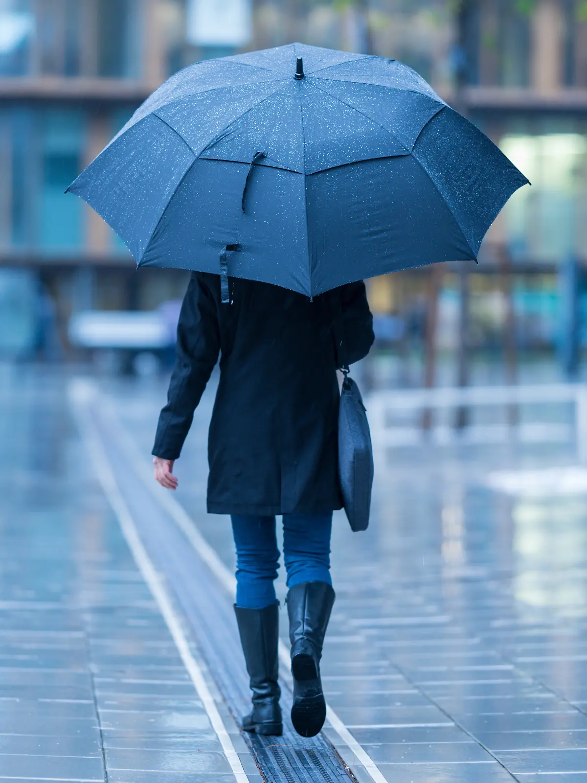 Bild zu: "Ex-Hurrikan Erin wirbelt Deutschland in den Herbst"