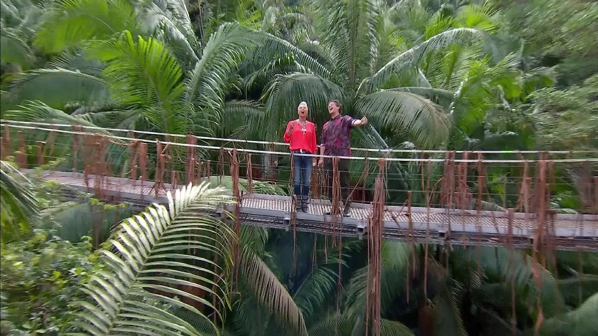 Throwback aus dem Jahre 2020: Sonja Zietlow und Daniel Hartwich begrüßen die Zuschauer mit dem legendären "Ich bin ein Star - Holt mich hier rauuuuuuuuuuuuuuus!" - ab 2023 tritt Jan Köppen in seine Fußstapfen.