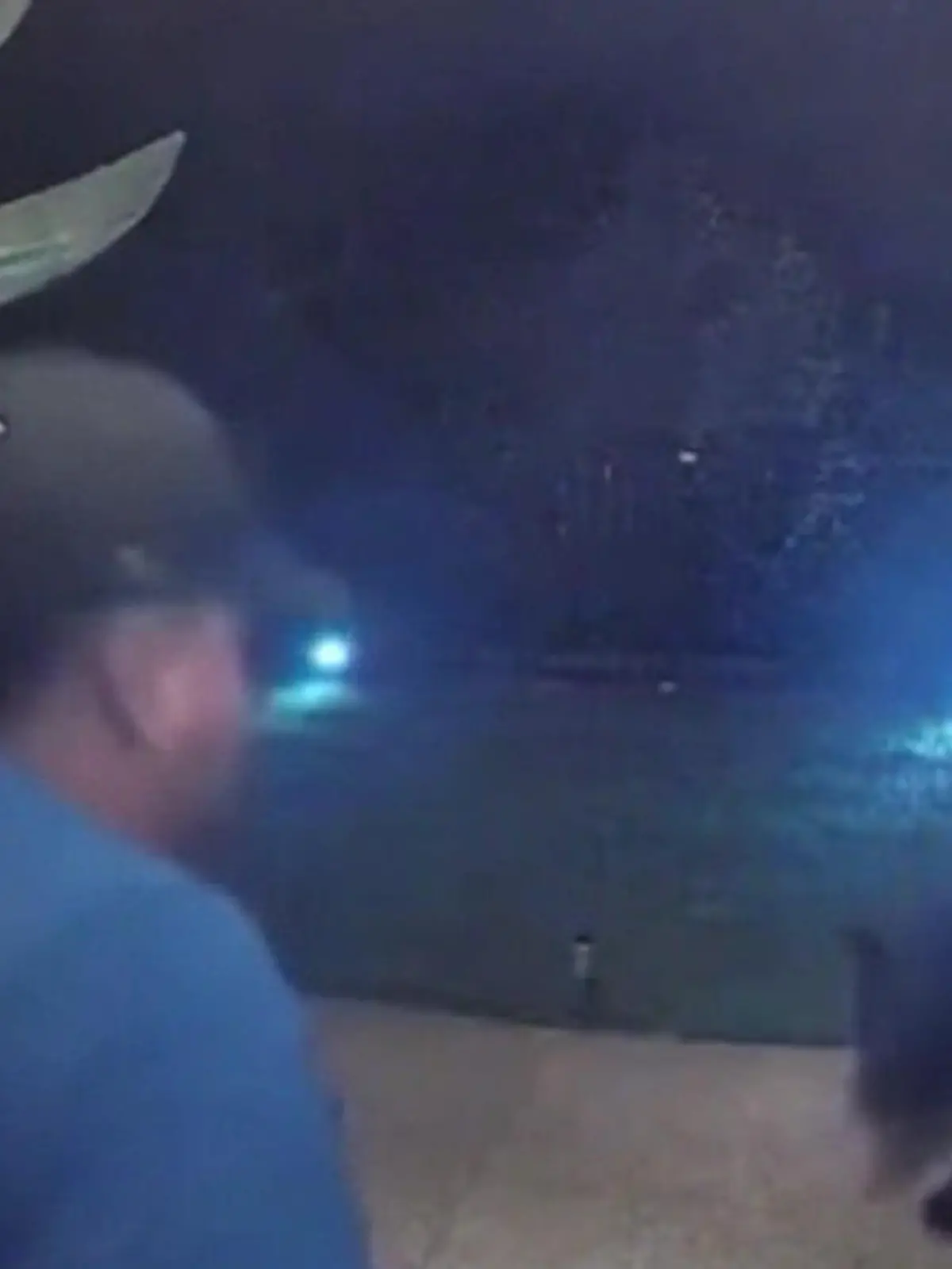 Bild zu: "Mitten in Kleinstadt! Bär attackiert Mann vor eigener Haustür"