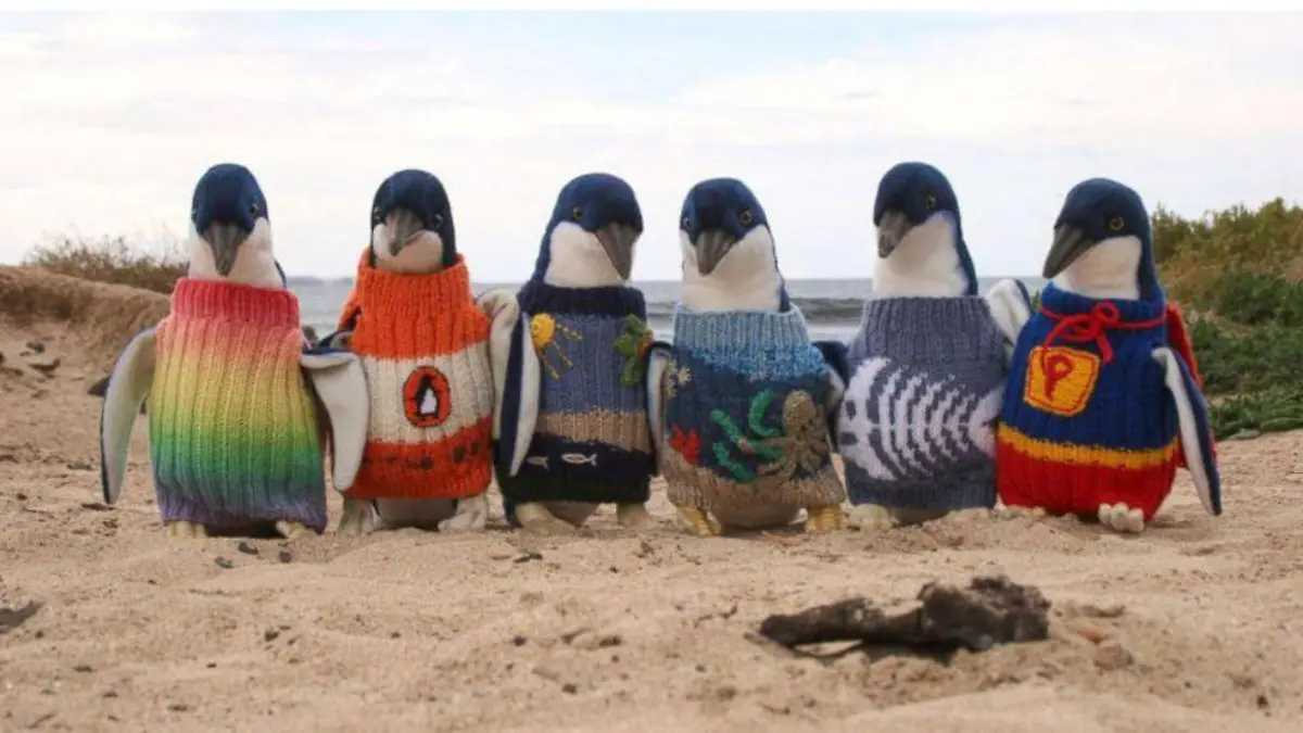 PINGUINE