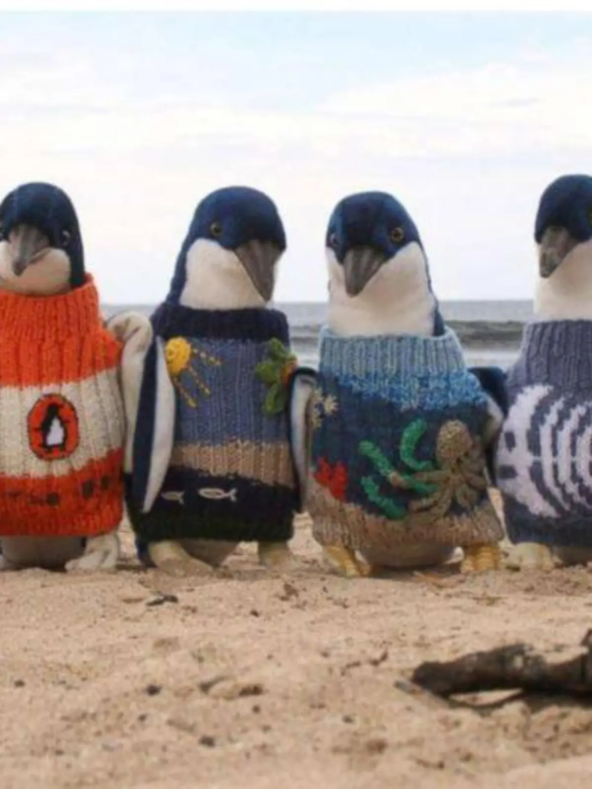 PINGUINE
