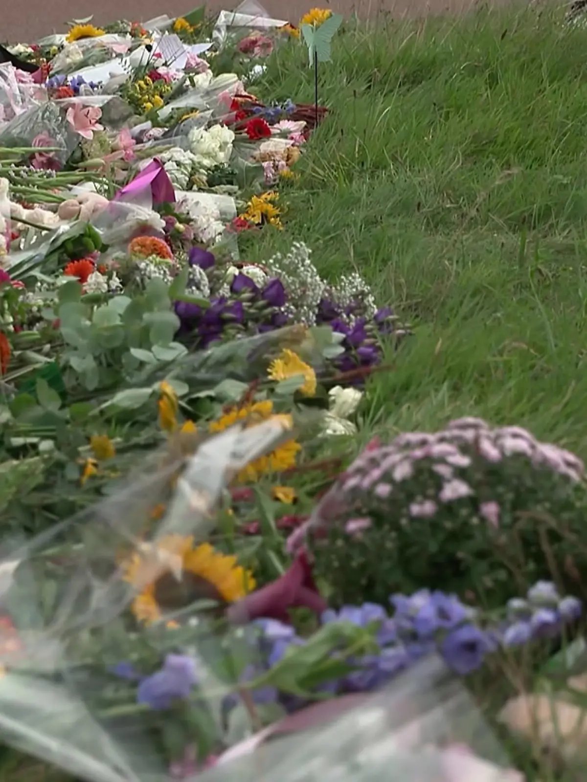 Trauernde haben Blumen und Kuscheltiere niedergelegt