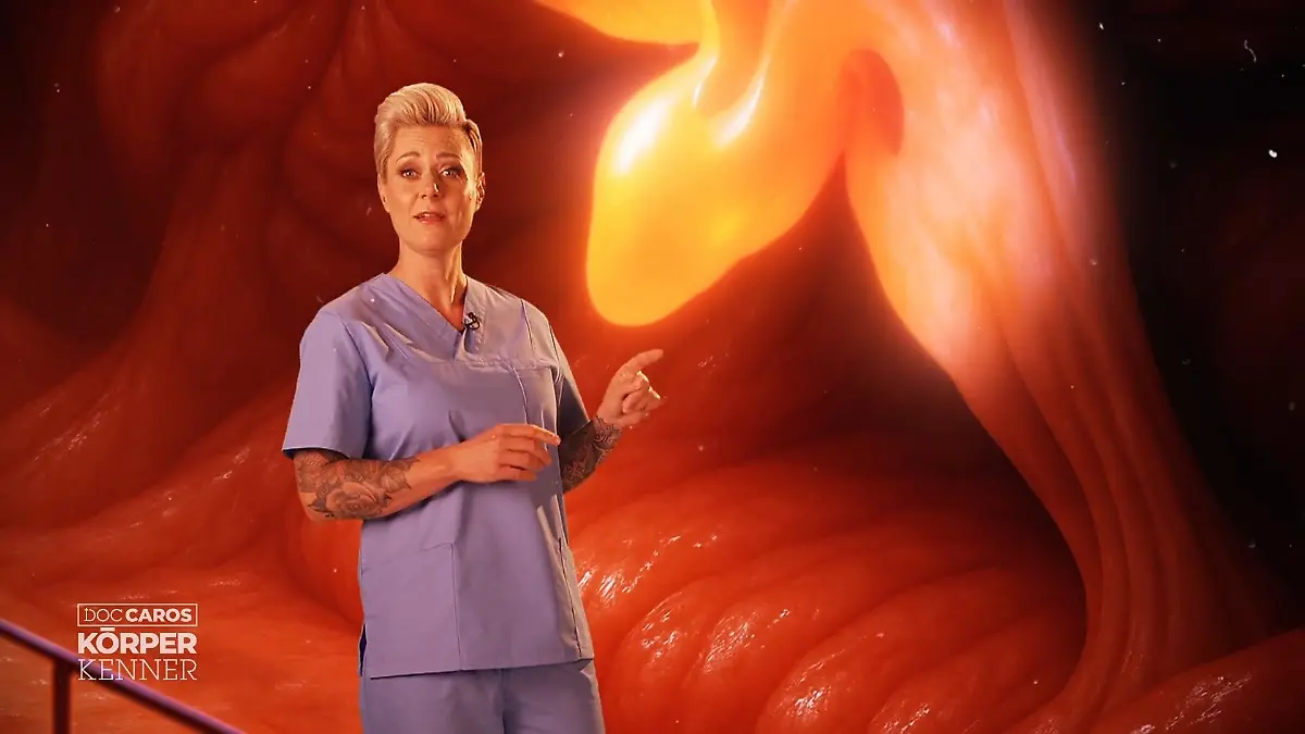 Das passiert im Gehirn bei Angst Doc Caro erklärt