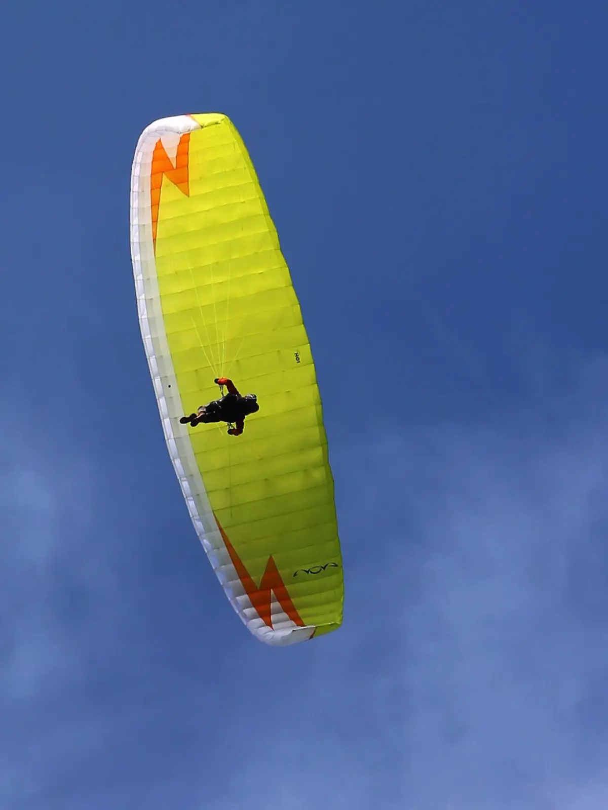 Bild zu: "Gleitschirmflieger stürzt ab und bleibt in Baum hängen"