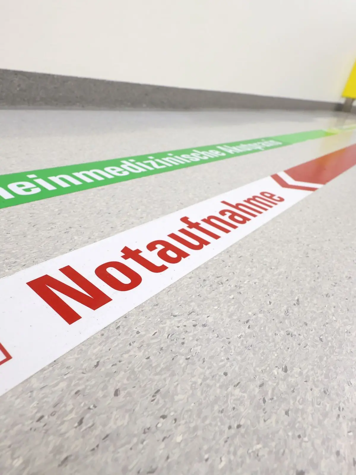 Bild zu: "Landkreis gibt Entwarnung! Kita-Kinder haben doch kein EHEC"