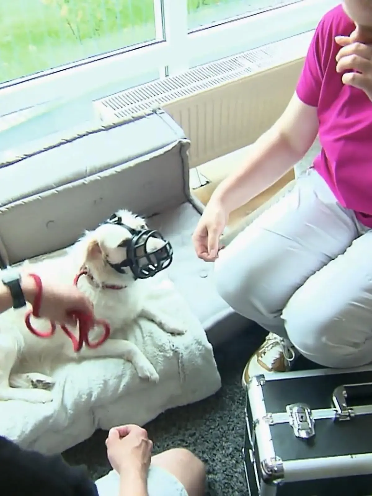 Bild zu: "Tiernotdienst auf dem Weg nach Rösrath"