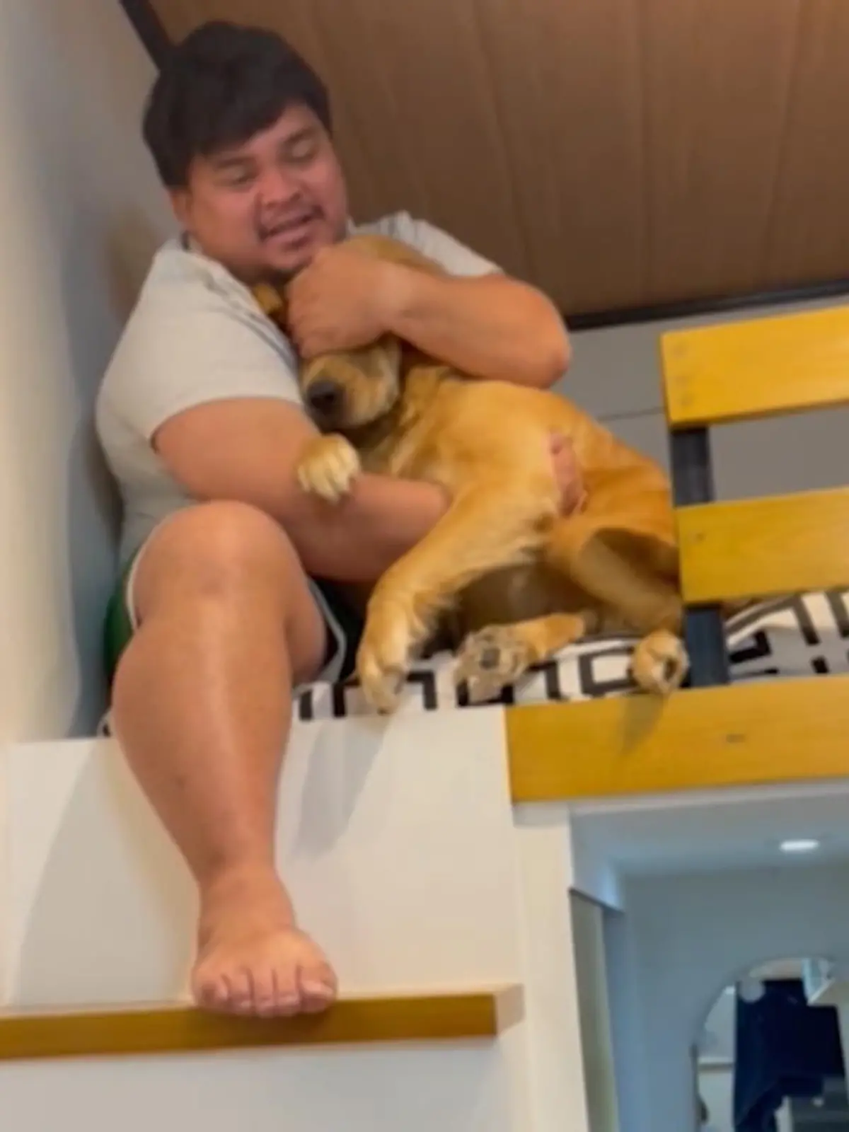 Eigentlich war Golden Retriever Caramel nur neugierig und wollte einmal nachsehen, wie Herrchen so schläft. Die enge, steile Treppe  zum Hochbett war auf dem Weg hoch auch gar kein Problem. Der Weg hinunter gestaltet sich für die Hündin dann aber schwieriger als erwartet.