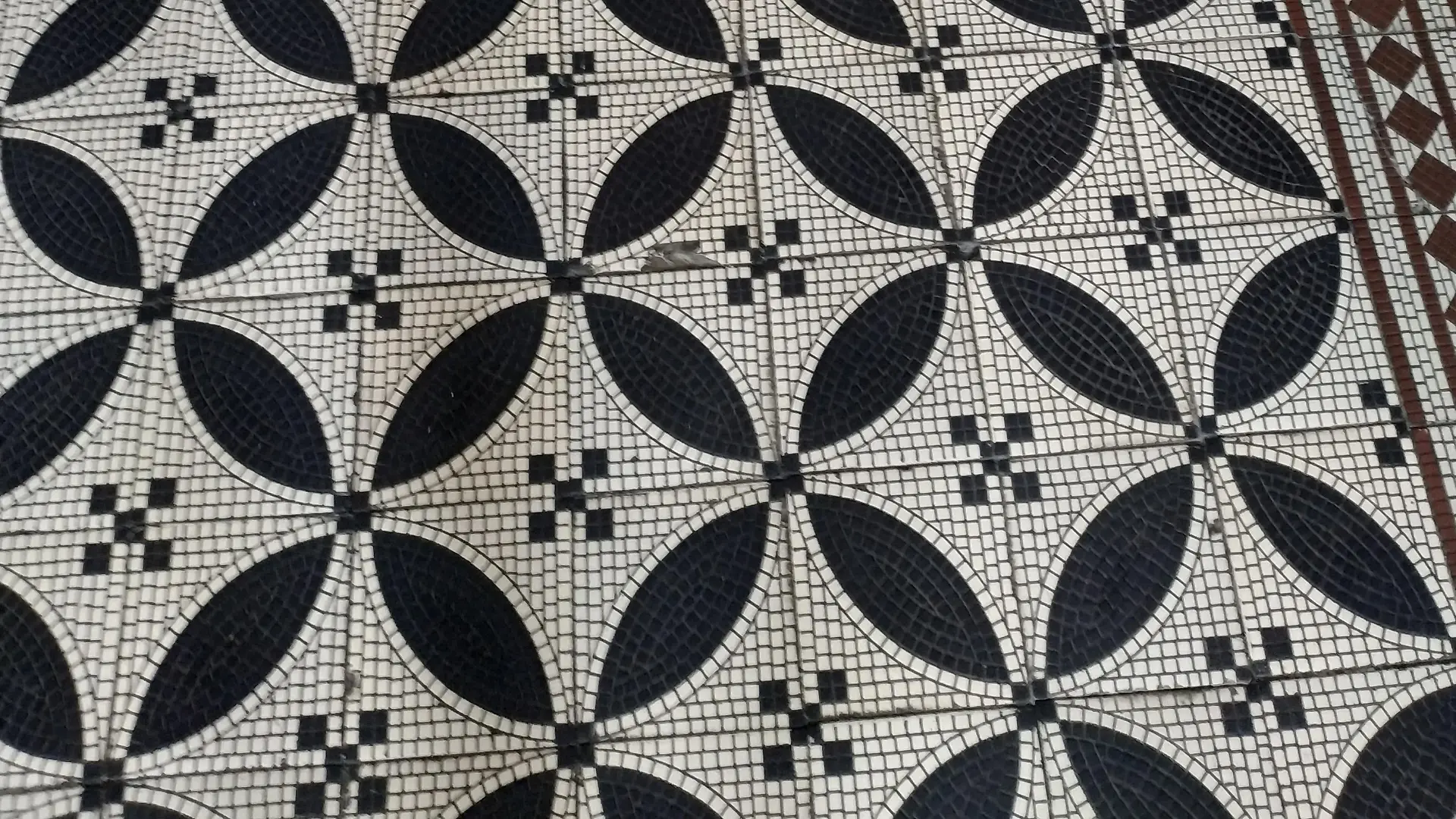 Suchbild aus dem Leben: Wie schnell findet ihr den Fehler im Fliesenboden?