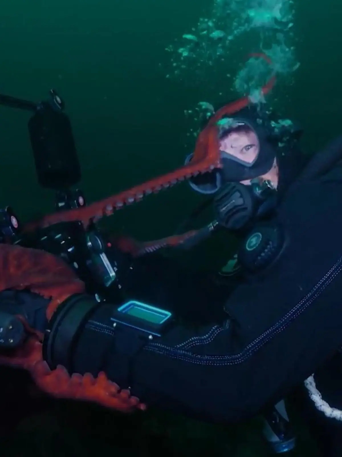 Bild zu: "Hey, lass mich mal! Oktopus klaut Tauchern Kamera – und macht Selfies"