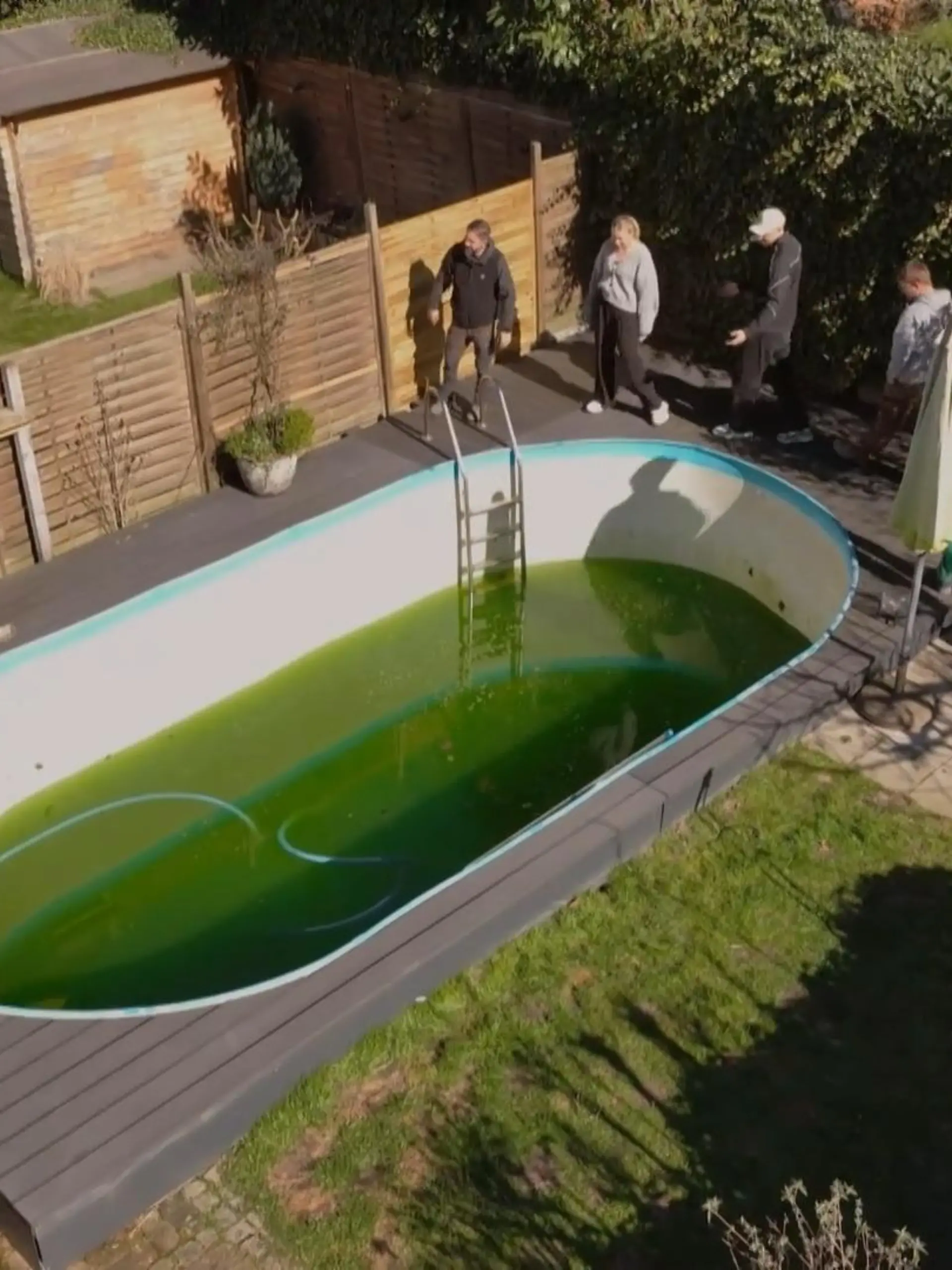Bild zu: "Balance zwischen Pool und Entspannung"