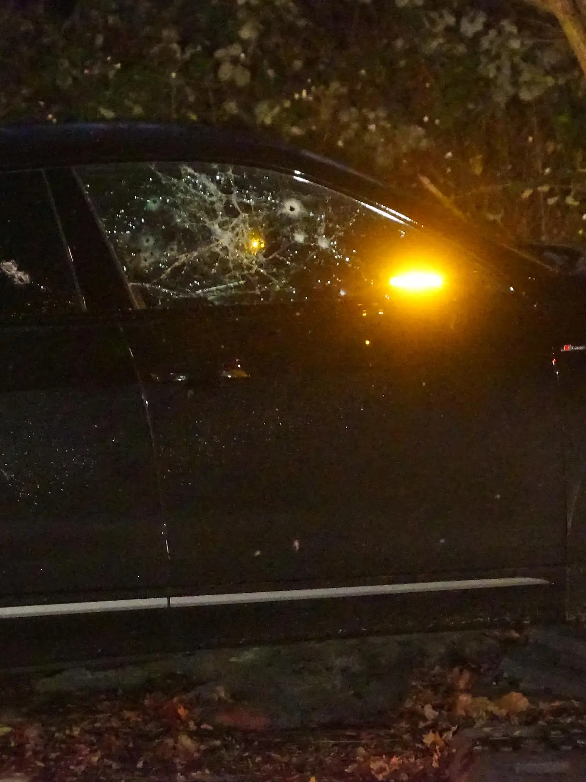Mögliche Auseinandersetzungen im Drogenmilieu: Ein von Kugeln zersiebtes Auto in Hamburg Rahlstedt

/ 100123