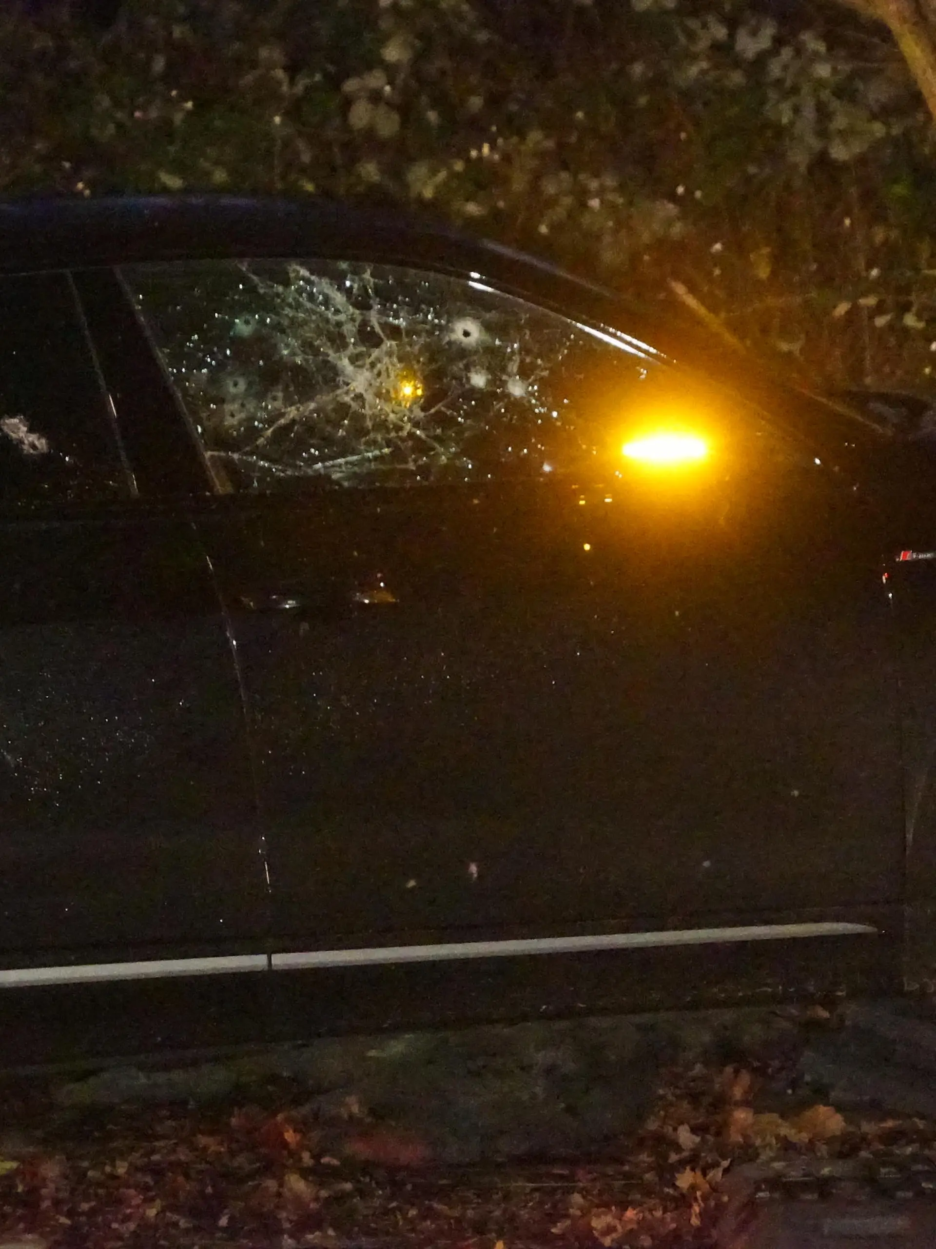 Mögliche Auseinandersetzungen im Drogenmilieu: Ein von Kugeln zersiebtes Auto in Hamburg Rahlstedt

/ 100123