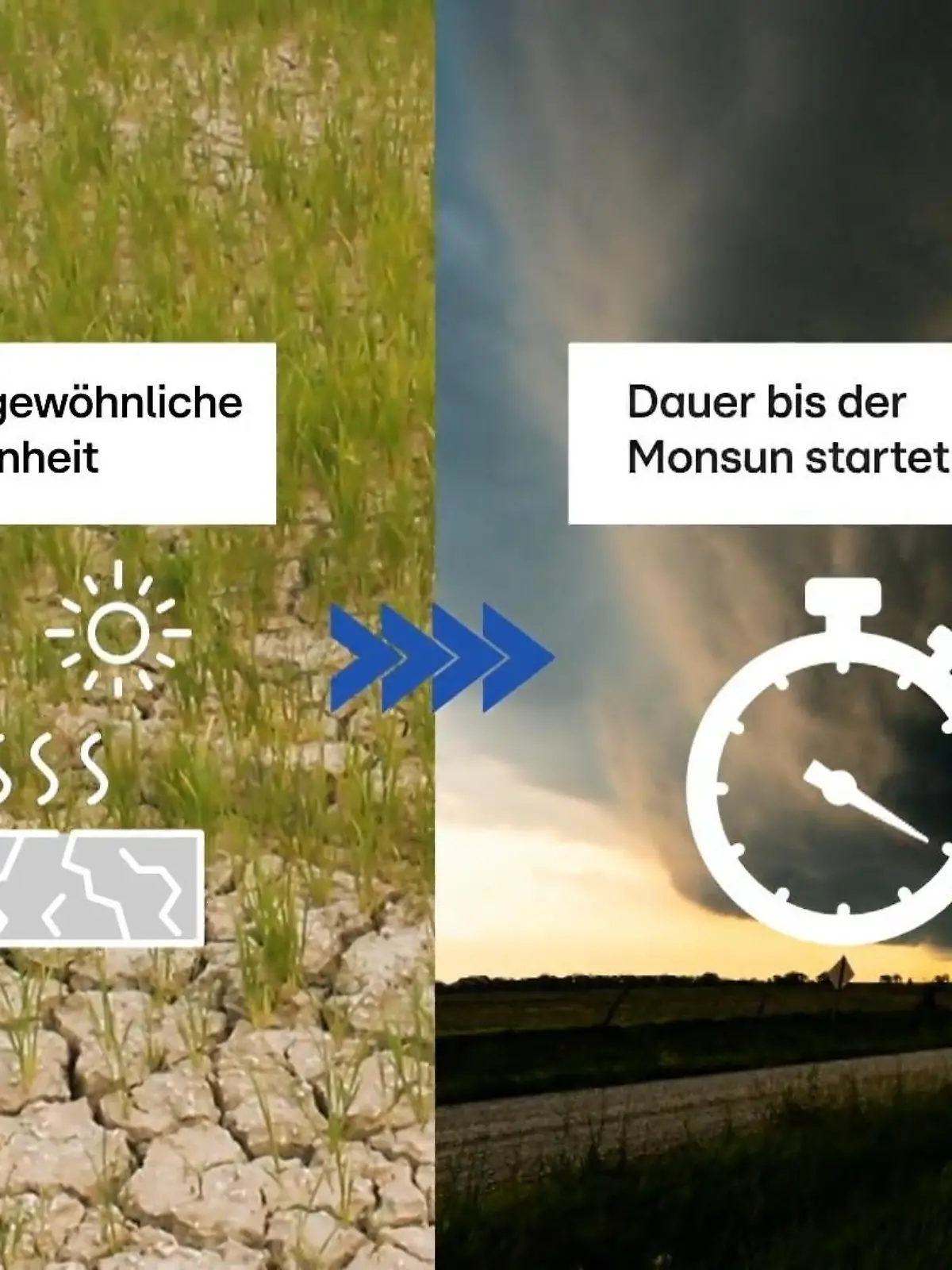 Bild zu: "Wie sich Dürrephasen und Regenperioden selbst verstärken"