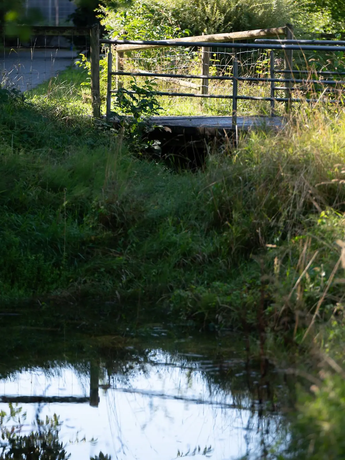 Bild zu: "Leiche in Koffer gefunden – Polizei kann vermisste Frau identifizieren"