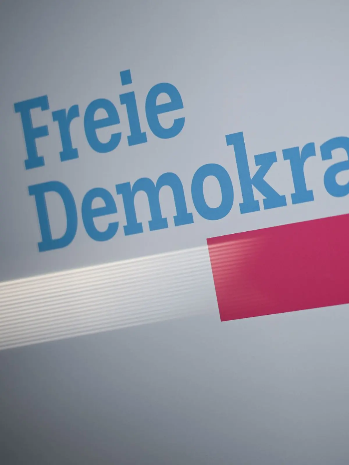 Bild zu: "Höne vs. Kubicki: Wer führt die FDP aus der Krise?"