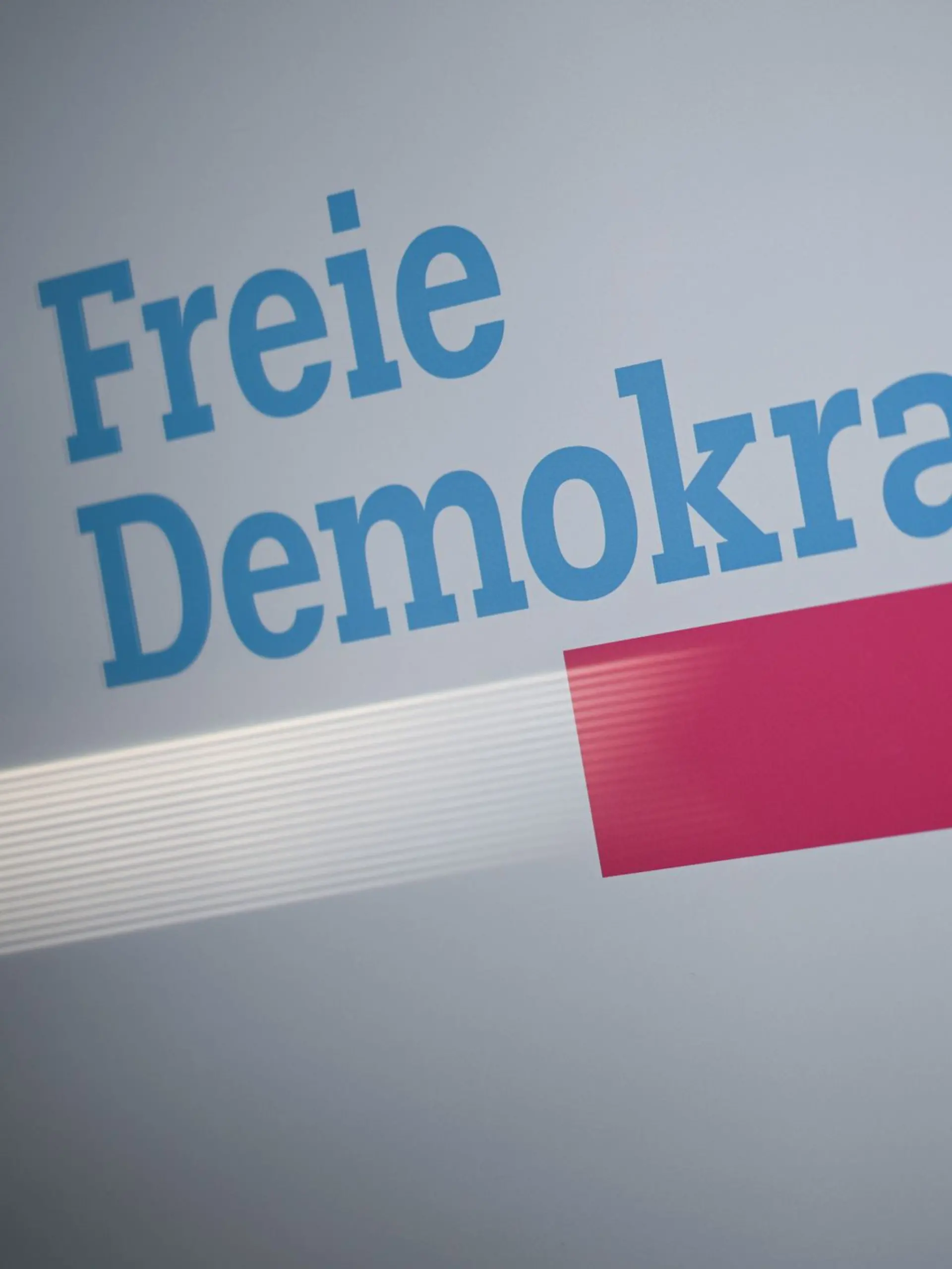 Bild zu: "Höne vs. Kubicki: Wer führt die FDP aus der Krise?"