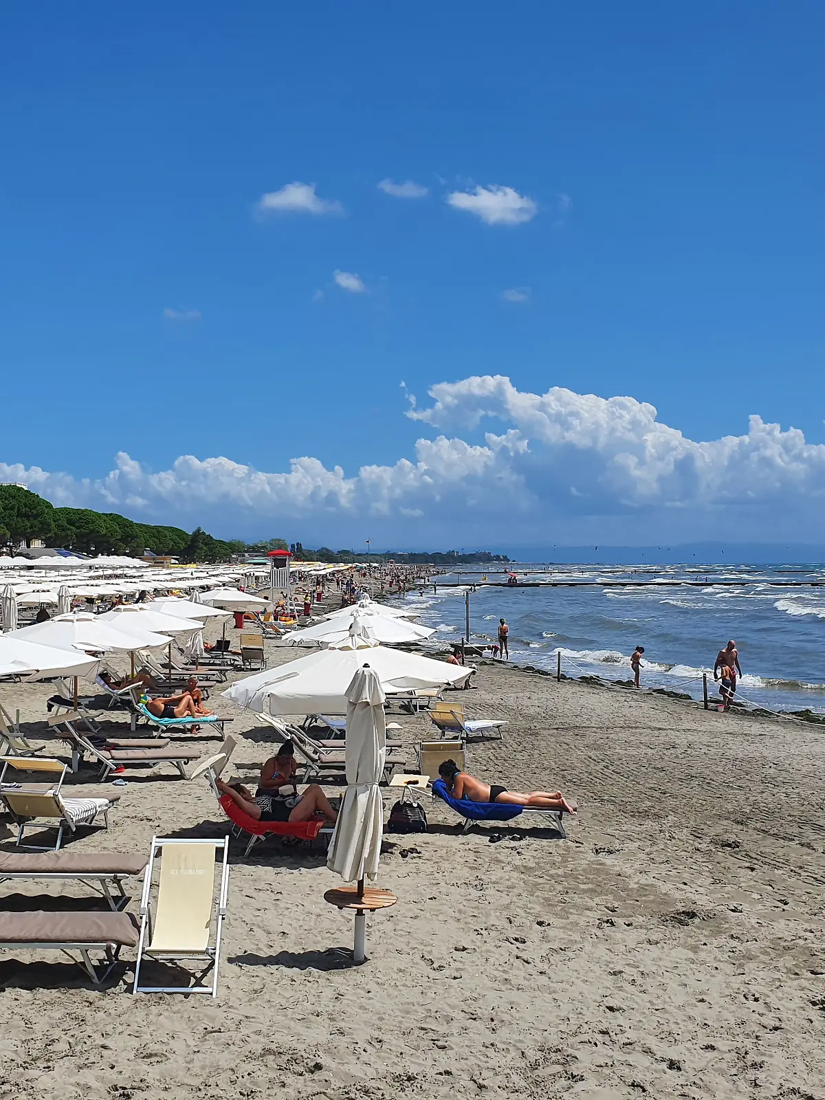 Grado