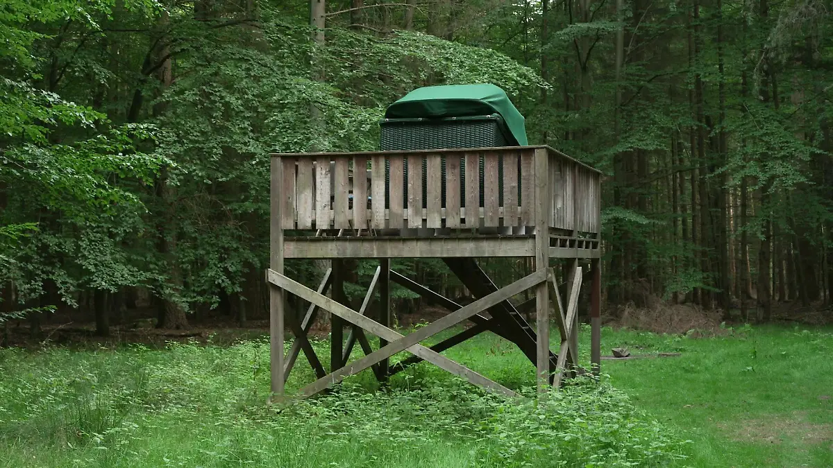 Für 129 Euro die Nacht inklusive Hotel-Frühstück und Picknickkörbchen kann man in dem Waldkorb übernachten.