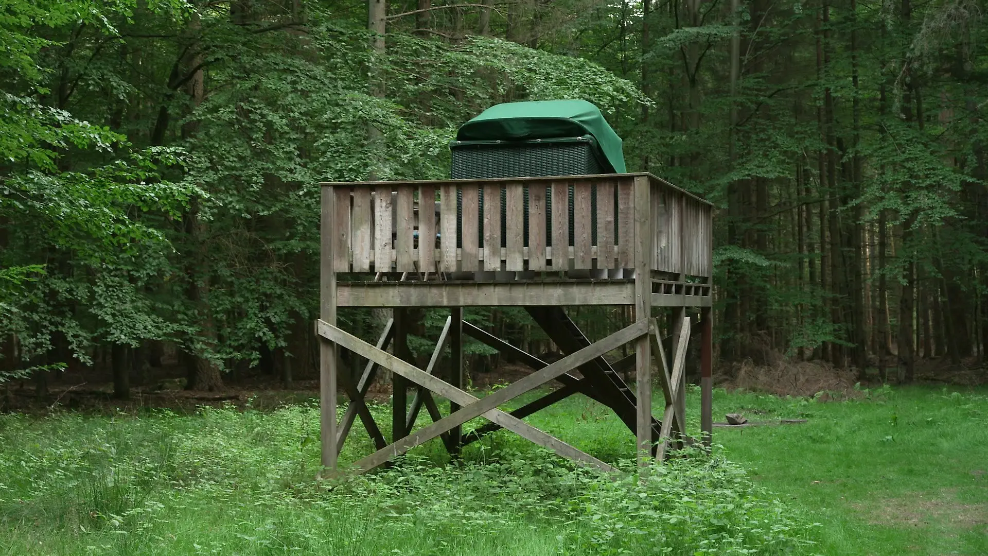 Für 129 Euro die Nacht inklusive Hotel-Frühstück und Picknickkörbchen kann man in dem Waldkorb übernachten.