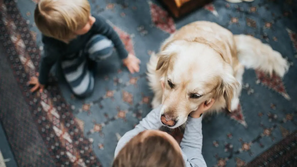 Kinder mit Hund