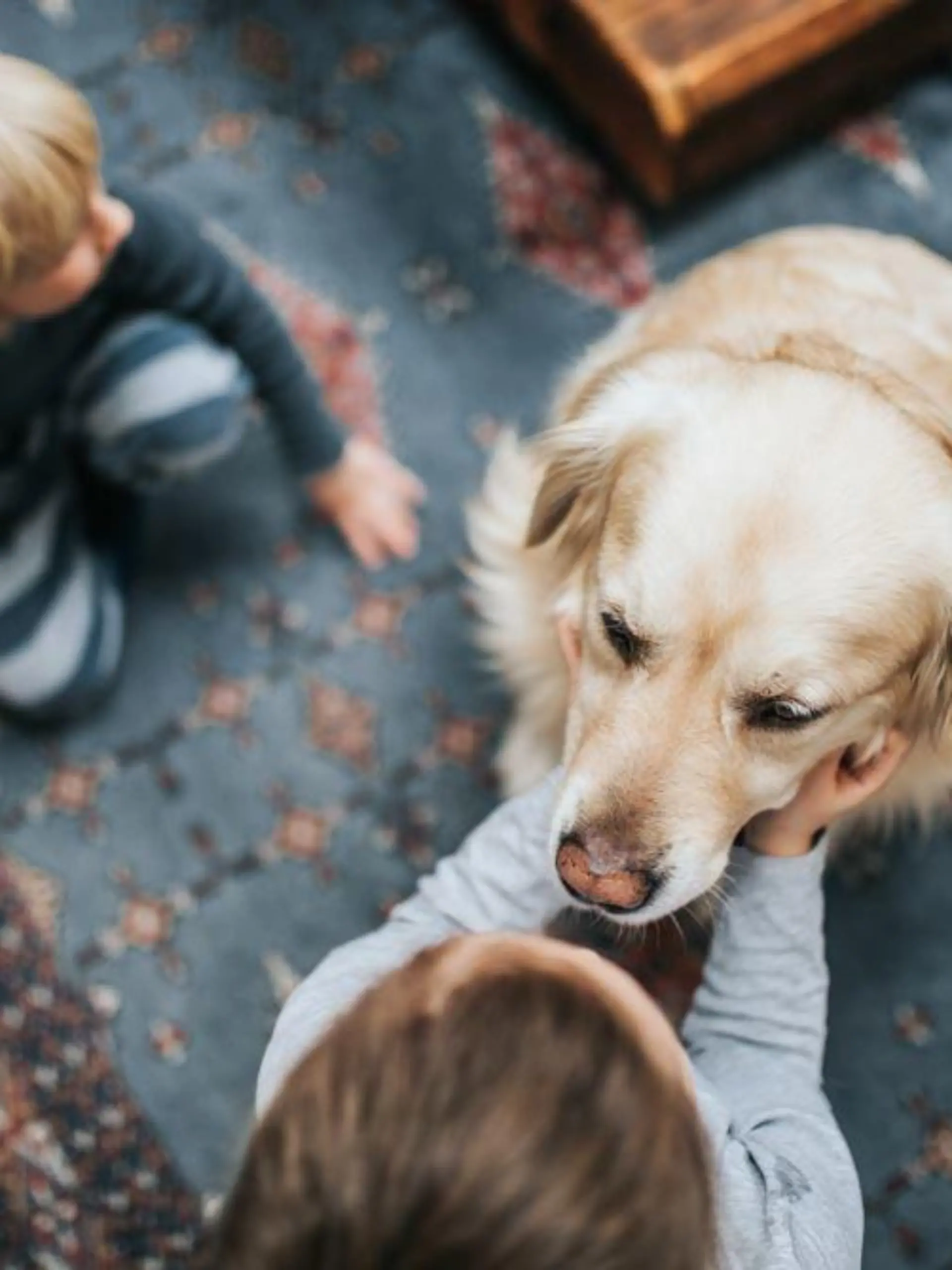 Kinder mit Hund
