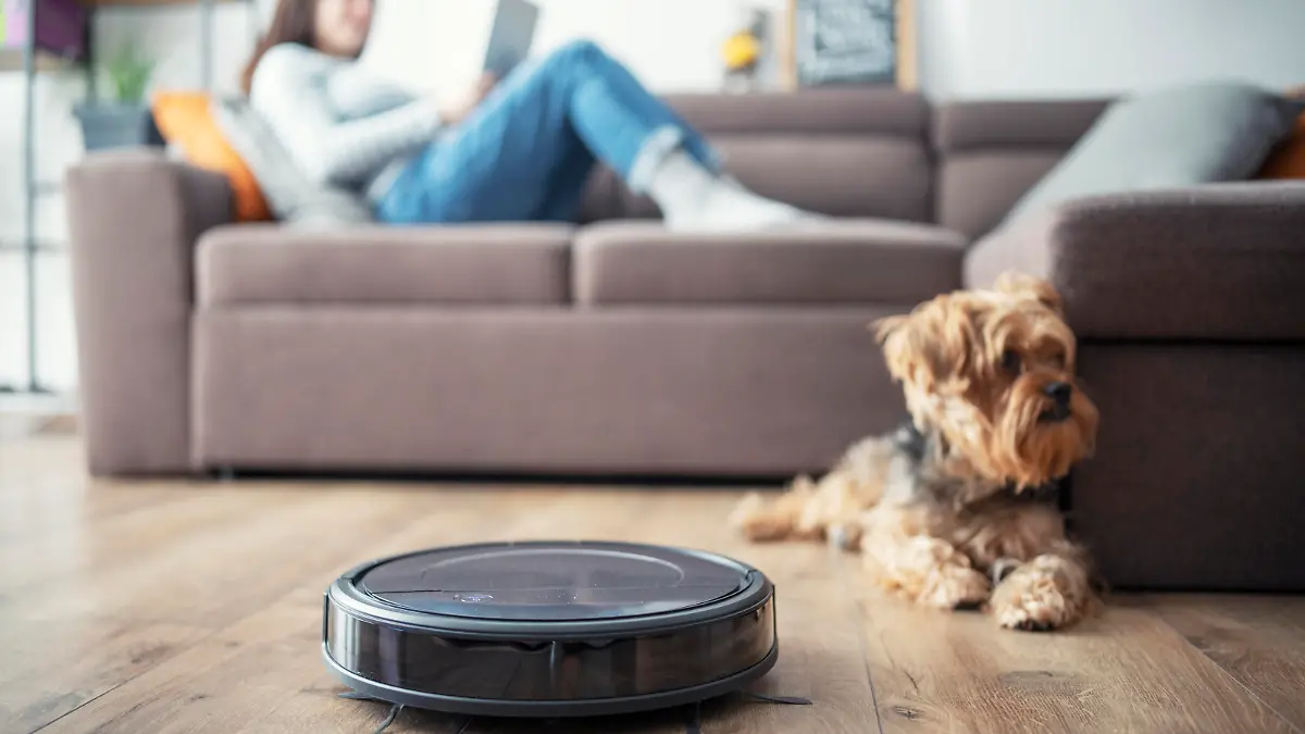 Woman and her dog relax in living room while robot vaccum cleans.