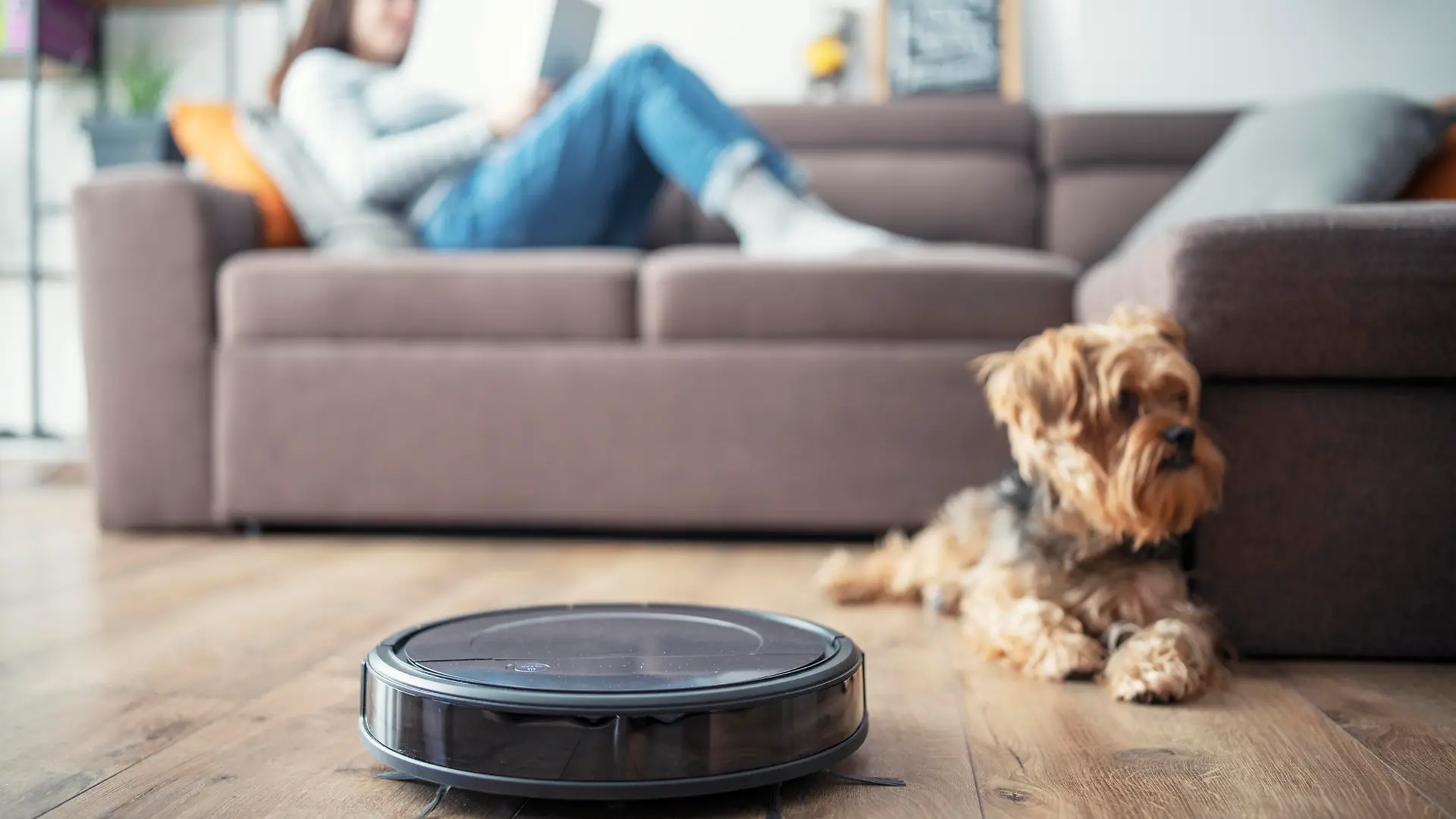 Woman and her dog relax in living room while robot vaccum cleans.