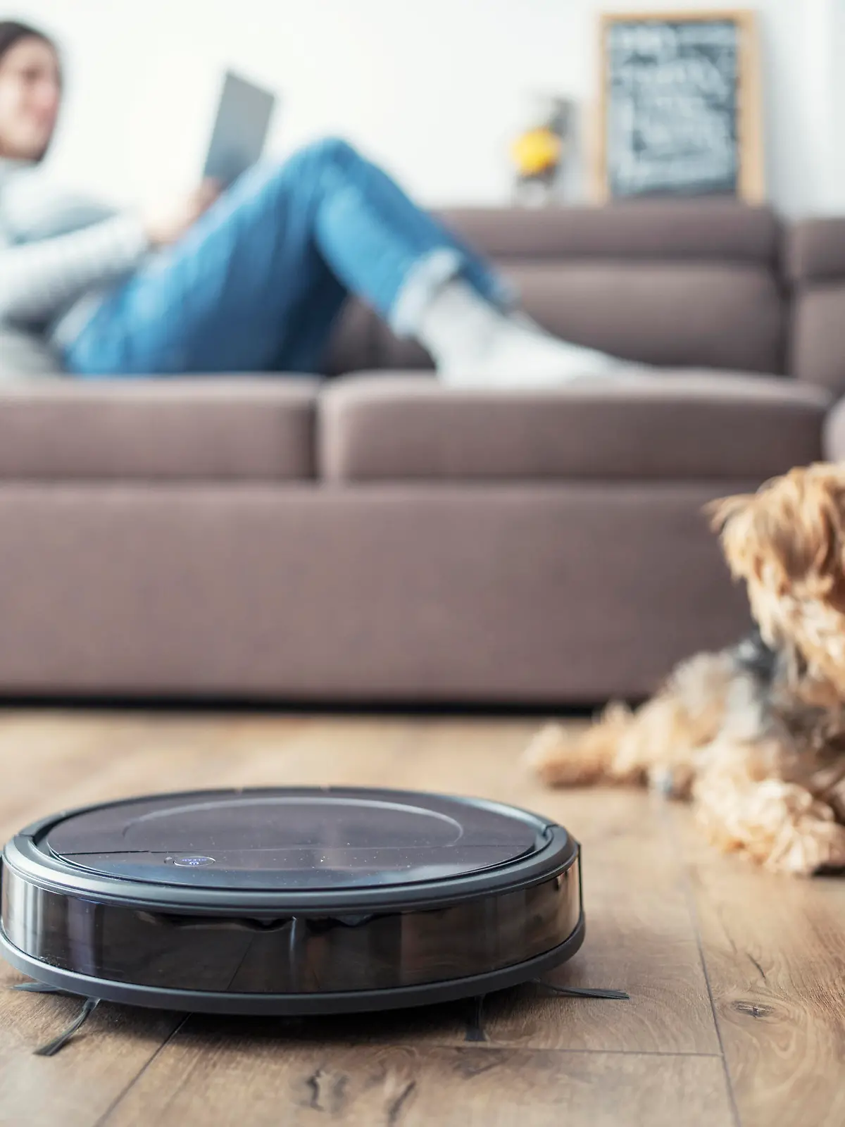 Woman and her dog relax in living room while robot vaccum cleans.