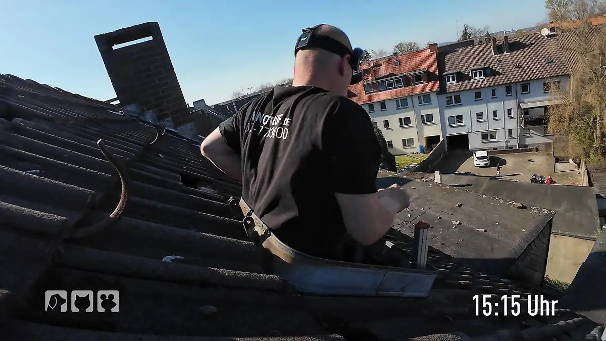 Steckt ein Vogel im Kamin fest? Suche nach dem Tier
