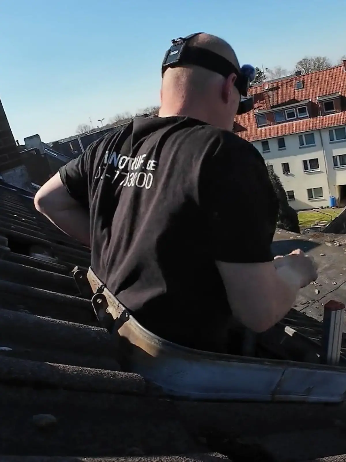 Bild zu: "Steckt ein Vogel im Kamin fest?"