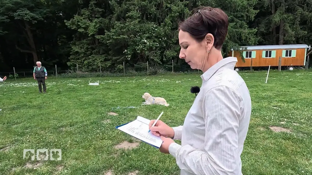 Kate Kitchenham testet den Hundeführerschein Theorie trifft Praxis