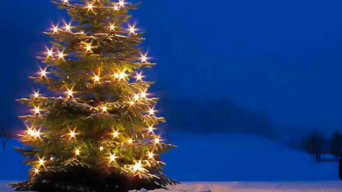 Weihnachten - Mehr als 600 Klassiker zum Fest