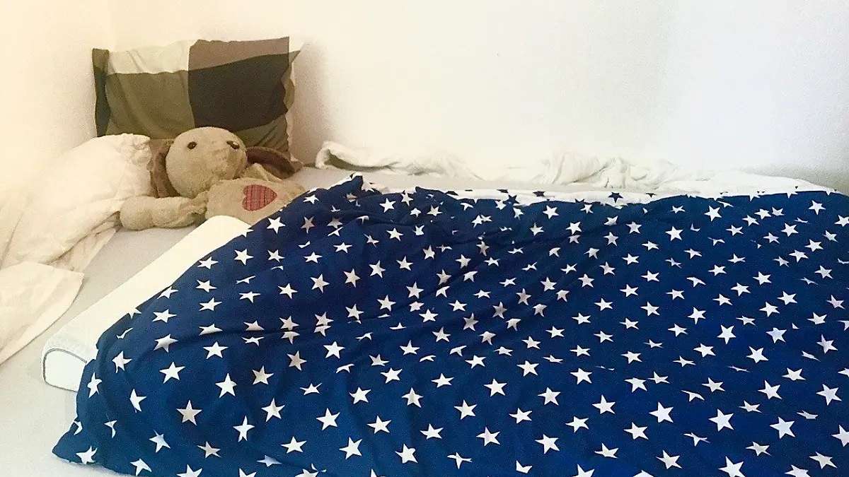 Teddy im Bett